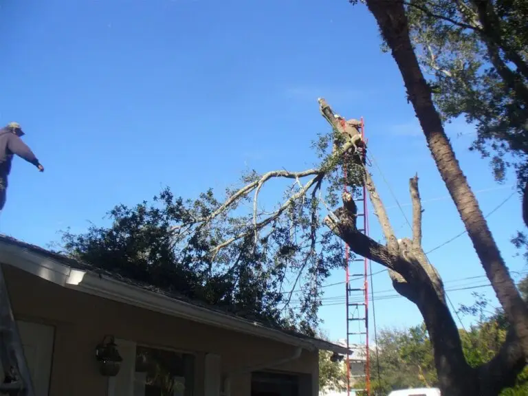 Best Mulching Services in Oakland, California: Leading Carriers Examined thumbnail